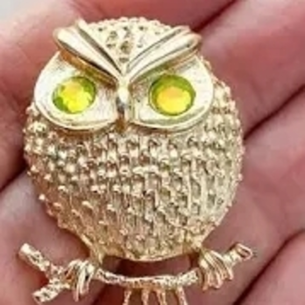 Owl Brooch Sarah Coventry Eyes Change Color Green To Amber - Picture 2 of 4
